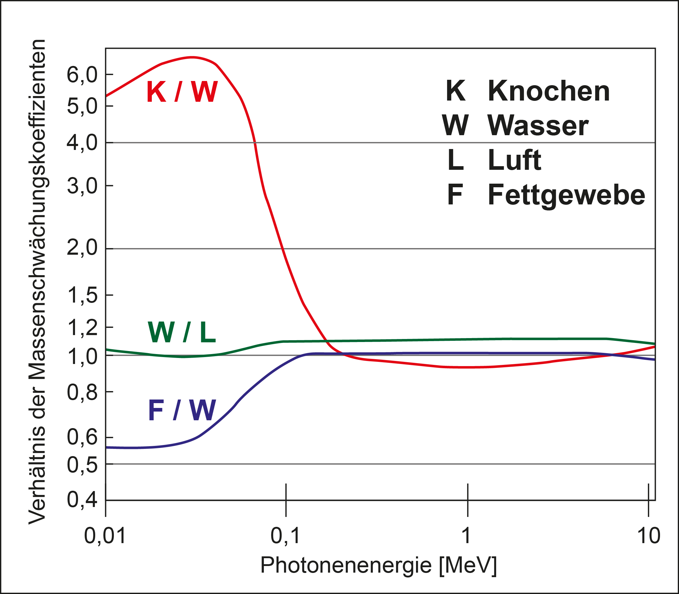 Das Verhältnis der Massenschwächungskoeffizienten für unterschiedliche Gewebe